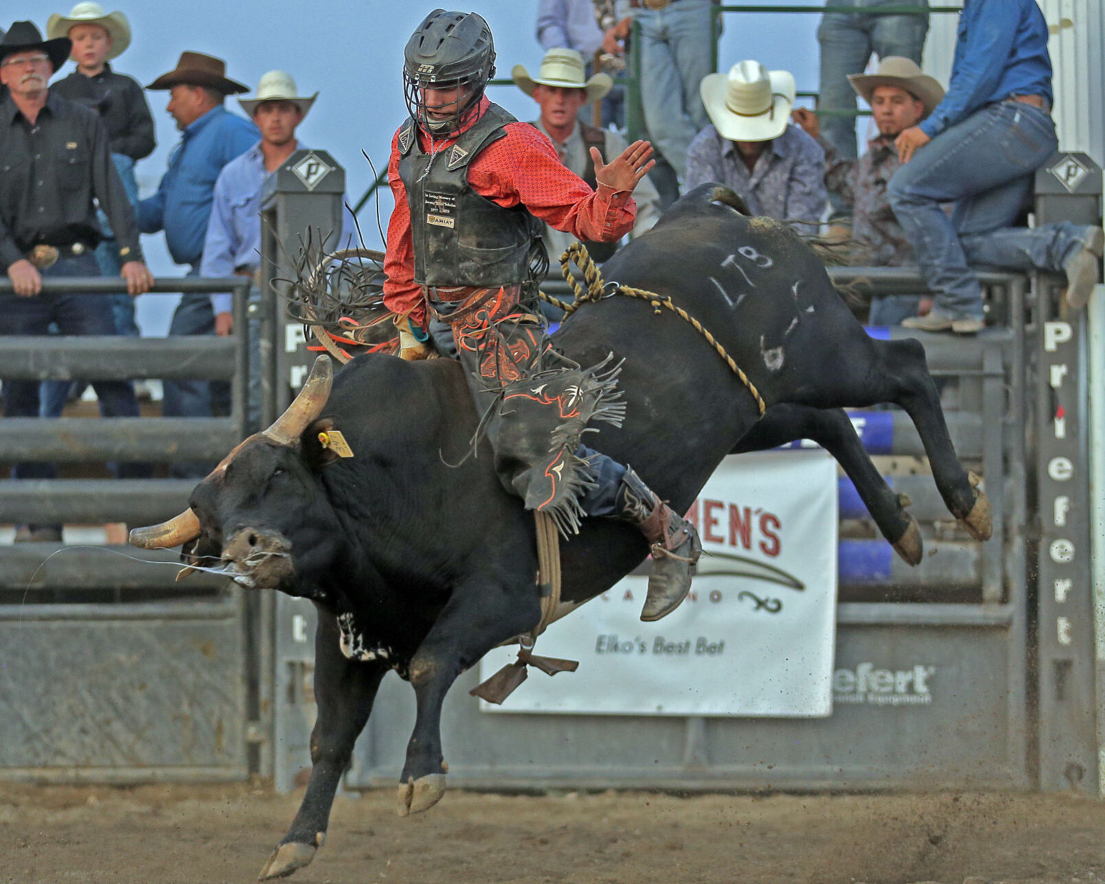 091520-elk-spt-gold-rush-riggin-vadnis.jpg